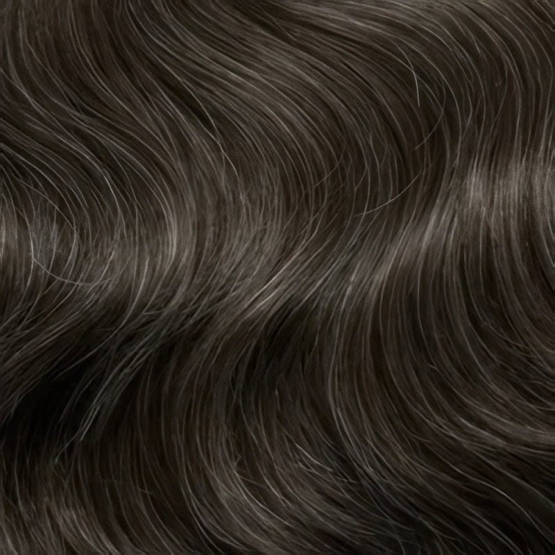 Eva Gabor Wig Color Dark Chocolate Mist
