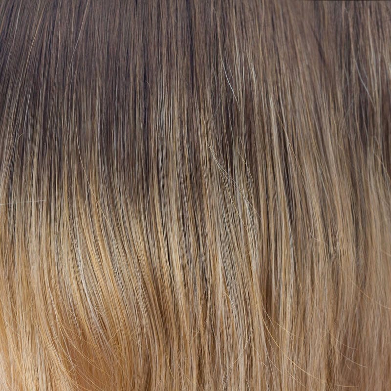 Eva Gabor Wig Color Dark Chocolate Mist