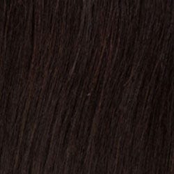 Eva Gabor Wig Color Dark Chocolate Mist