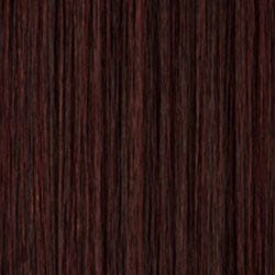 Eva Gabor Wig Color Dark Chocolate Mist