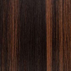 Eva Gabor Wig Color Dark Chocolate Mist