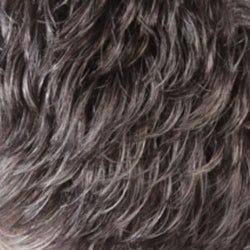 Eva Gabor Wig Color Dark Chocolate Mist