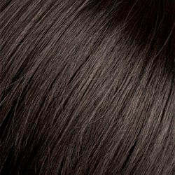 Eva Gabor Wig Color Dark Chocolate Mist
