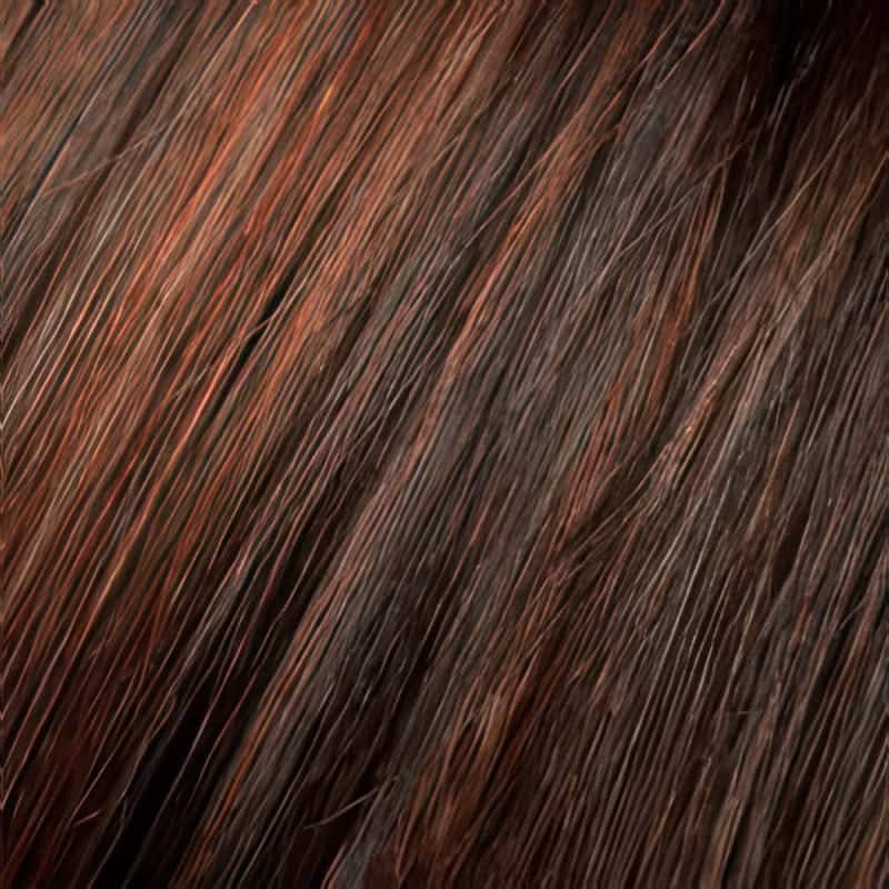 Eva Gabor Wig Color Dark Chocolate Mist