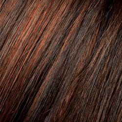 Eva Gabor Wig Color Dark Chocolate Mist