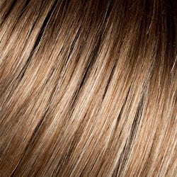 Eva Gabor Wig Color Dark Chocolate Mist