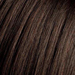 Eva Gabor Wig Color Dark Chocolate Mist