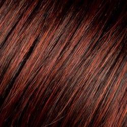 Eva Gabor Wig Color Dark Chocolate Mist
