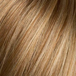 Eva Gabor Wig Color Dark Chocolate Mist
