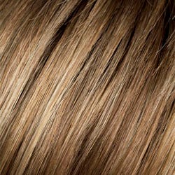 Eva Gabor Wig Color Dark Chocolate Mist