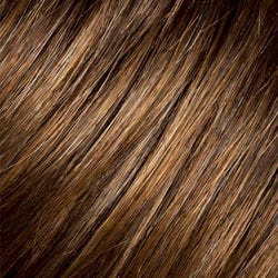 Eva Gabor Wig Color Dark Chocolate Mist