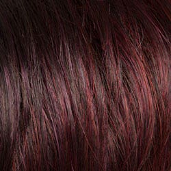 Eva Gabor Wig Color Dark Chocolate Mist