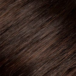 Eva Gabor Wig Color Dark Chocolate Mist