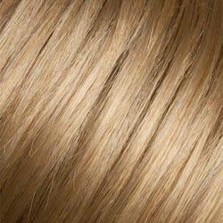 Eva Gabor Wig Color Dark Chocolate Mist