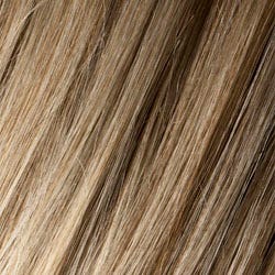 Eva Gabor Wig Color Dark Chocolate Mist