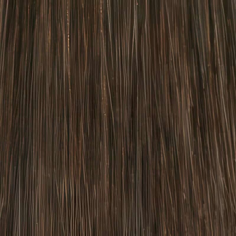 Eva Gabor Wig Color Dark Chocolate Mist