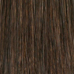 Eva Gabor Wig Color Dark Chocolate Mist