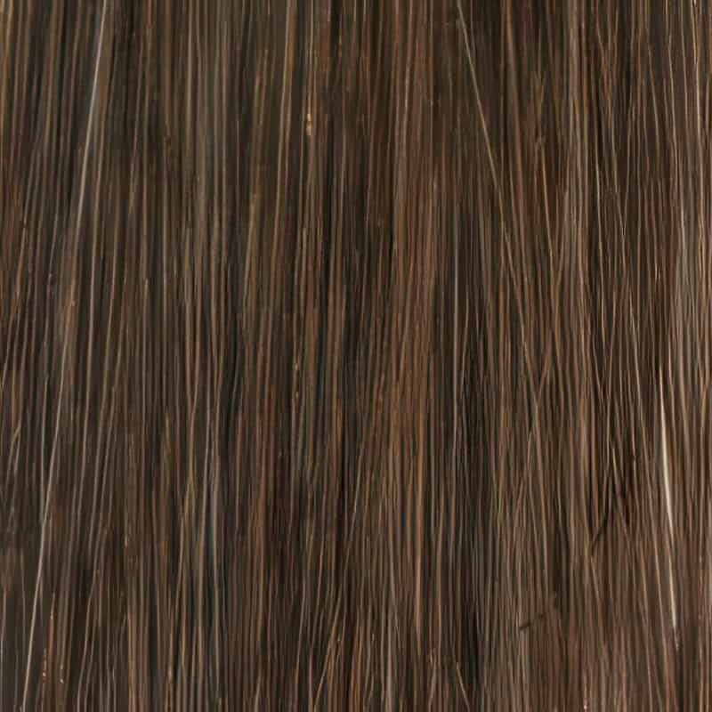 Eva Gabor Wig Color Dark Chocolate Mist
