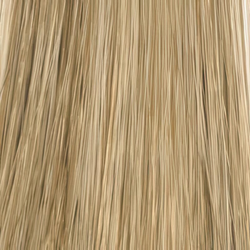 Eva Gabor Wig Color Dark Chocolate Mist