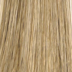 Eva Gabor Wig Color Dark Chocolate Mist