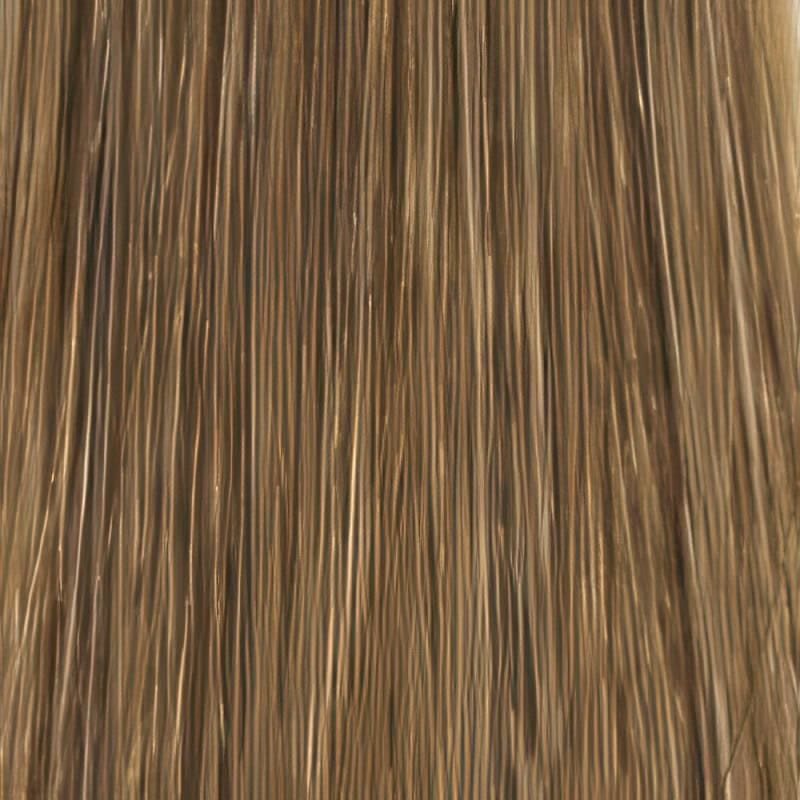 Eva Gabor Wig Color Dark Chocolate Mist