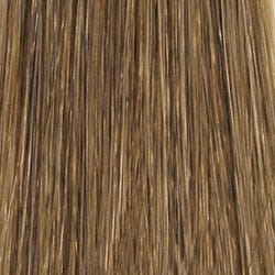 Eva Gabor Wig Color Dark Chocolate Mist