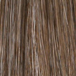 Eva Gabor Wig Color Dark Chocolate Mist