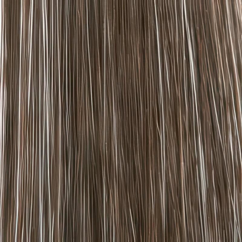 Eva Gabor Wig Color Dark Chocolate Mist