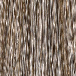 Eva Gabor Wig Color Dark Chocolate Mist
