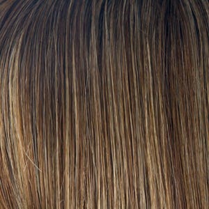 Eva Gabor Wig Color Dark Chocolate Mist
