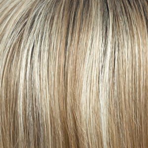 Eva Gabor Wig Color Dark Chocolate Mist