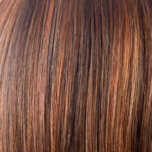 Eva Gabor Wig Color Dark Chocolate Mist