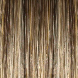 Eva Gabor Wig Color Dark Chocolate Mist