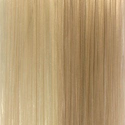 Eva Gabor Wig Color Dark Chocolate Mist