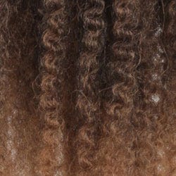 Eva Gabor Wig Color Dark Chocolate Mist