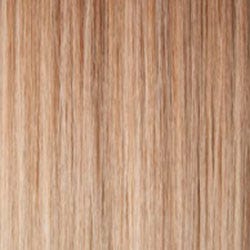 Eva Gabor Wig Color Dark Chocolate Mist