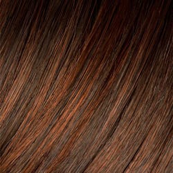 Eva Gabor Wig Color Dark Chocolate Mist