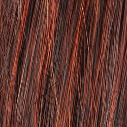 Eva Gabor Wig Color Dark Chocolate Mist