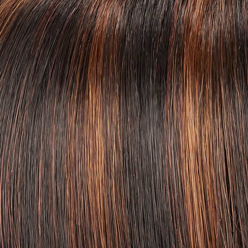 Eva Gabor Wig Color Dark Chocolate Mist