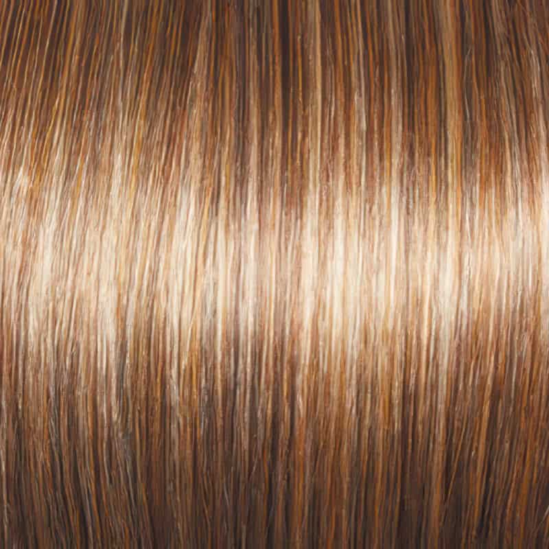 Eva Gabor Wig Color Dark Chocolate Mist