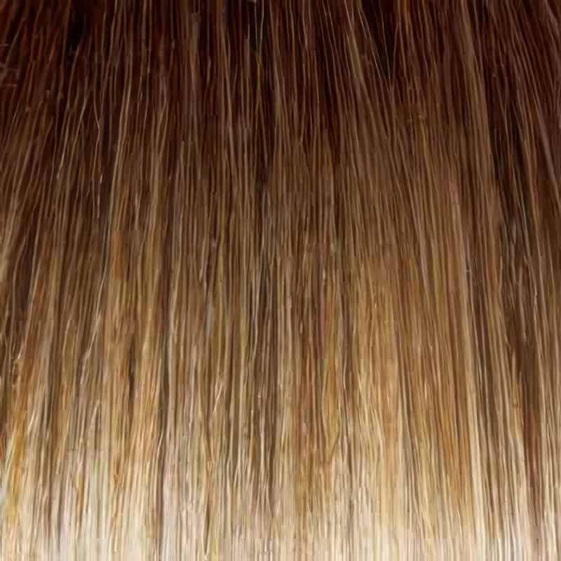 Eva Gabor Wig Color Dark Chocolate Mist
