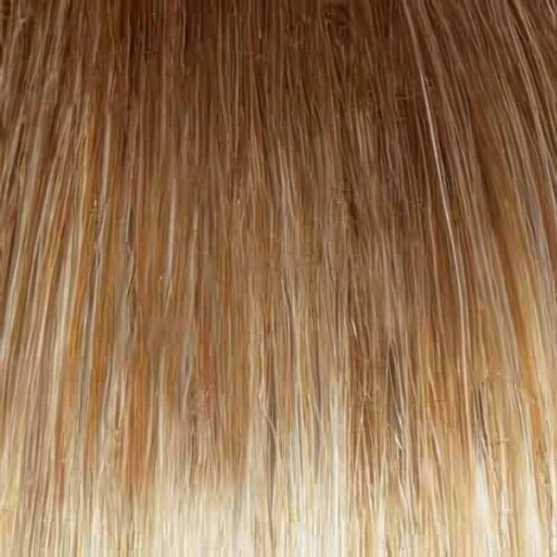 Eva Gabor Wig Color Dark Chocolate Mist