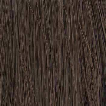 Eva Gabor Wig Color Dark Chocolate Mist