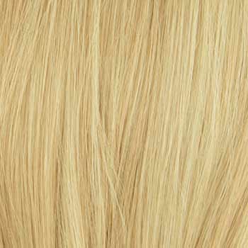 Eva Gabor Wig Color Dark Chocolate Mist