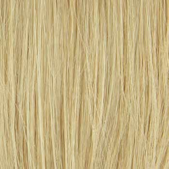 Eva Gabor Wig Color Dark Chocolate Mist