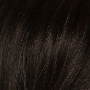Eva Gabor Wig Color Dark Chocolate Mist