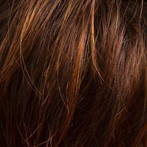 Eva Gabor Wig Color Dark Chocolate Mist