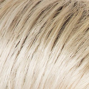 Eva Gabor Wig Color Dark Chocolate Mist