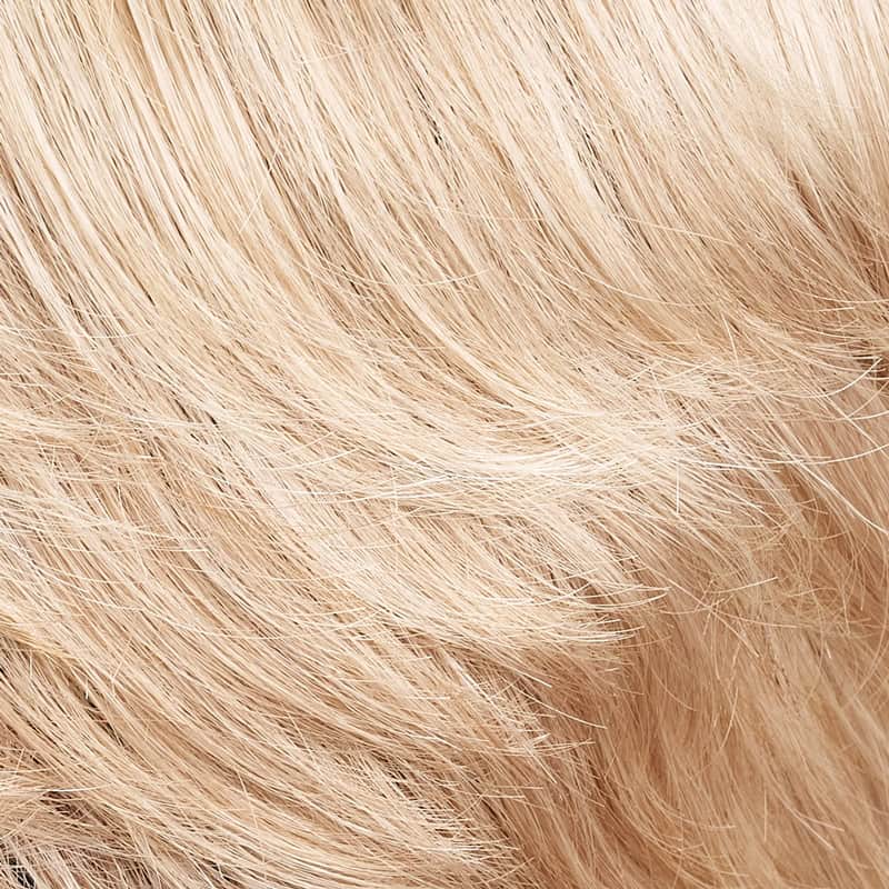 Eva Gabor Wig Color Dark Chocolate Mist