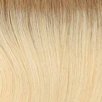 Eva Gabor Wig Color Dark Chocolate Mist